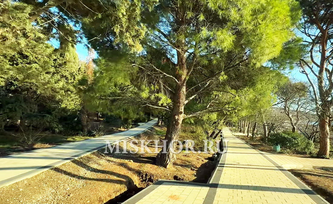 Мисхорский-парк-реконструкция-февраль-2026