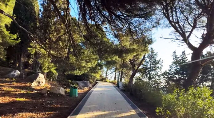 Мисхорский парк, февраль 2026, фотообзор, реконструкция 2025/26: парк и набережная Мисхора, мисхорские пляжи и Русалка..